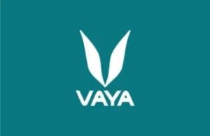 Vaya gift card