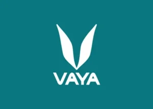 Vaya gift card