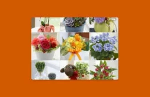 Choice of Flowers gift card