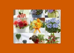 Choice of Flowers gift card