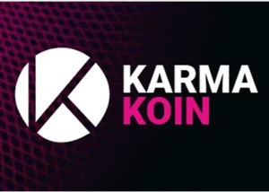 Nexon Karma Koin gift card