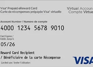 Visa* Prepaid eReward Card CA 6 Months Expiration gift card