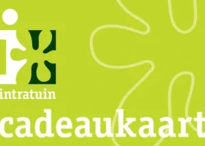Intratuin gift card