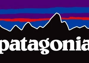 Patagonia gift card