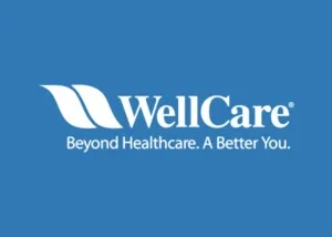 WellCard gift card